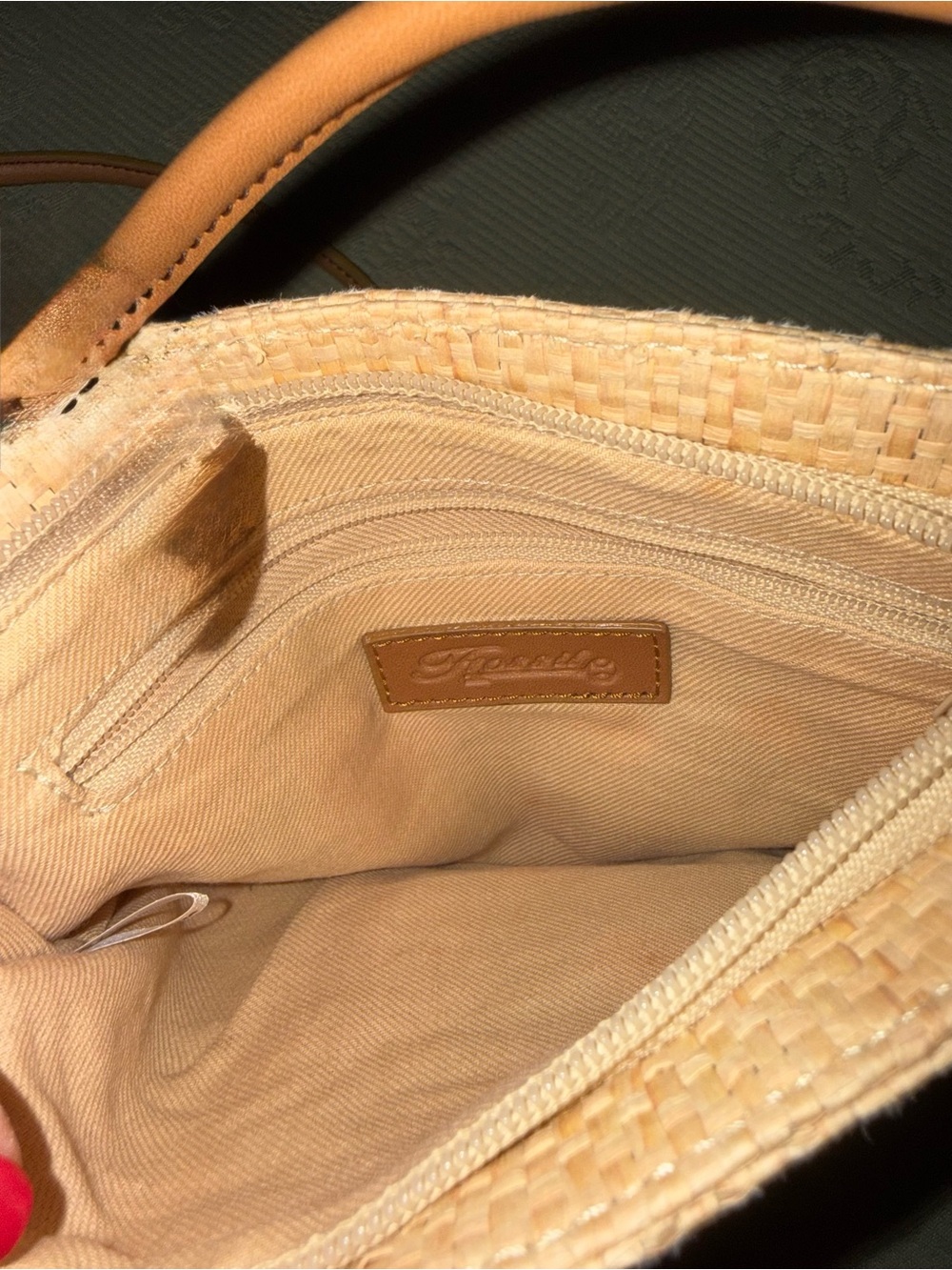 Price Drop! Lowest! Fossil Cream Woven Crossbody with Multicolor Embroidery - Picture 3 of 3